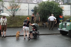 DSC02950
