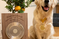 1_Champion-Lucky