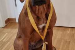 1_Zula
