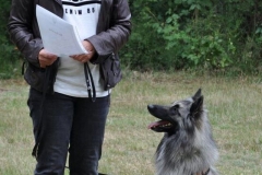 Ulla und "Chewie"