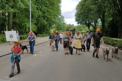 IMG-20170723-WA0018-1