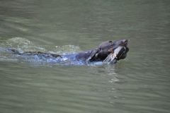 05_db5de56d-ab8d-4ffb-a021-068886e05423-wasser