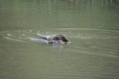 07_3af60bb2-adcc-4096-a034-d9b64a9e1769-wasser