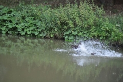 09_5a1913cd-f259-498e-8d1a-10efa6407ee6-wasser
