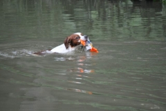 09_bbab9c8a-0f01-4685-ba7b-e6245a0db1b5-nemo