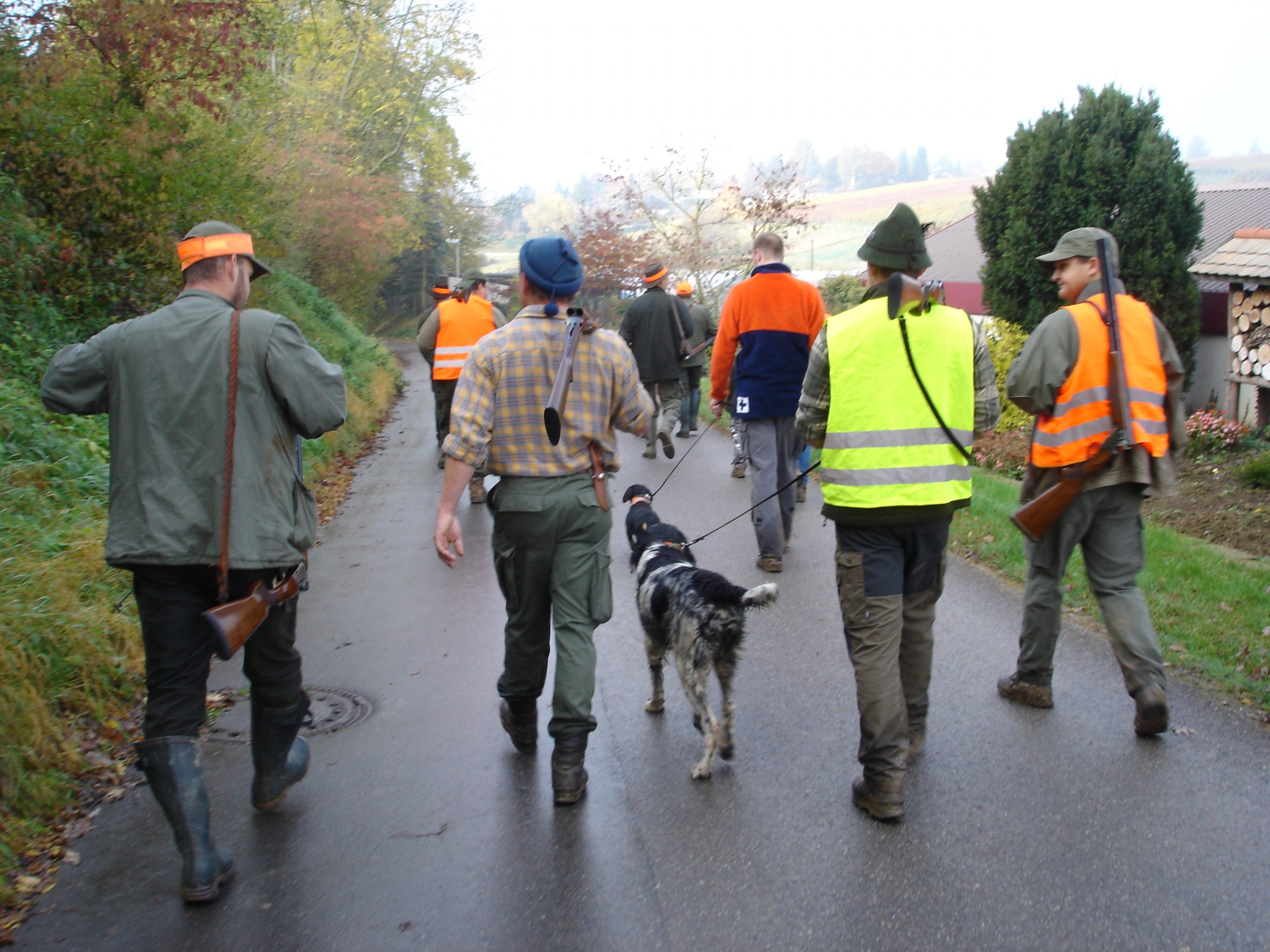 Prüfung Jagdhunde Grundkurs