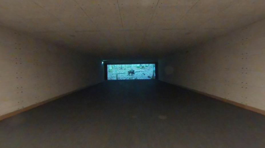 Schießkino